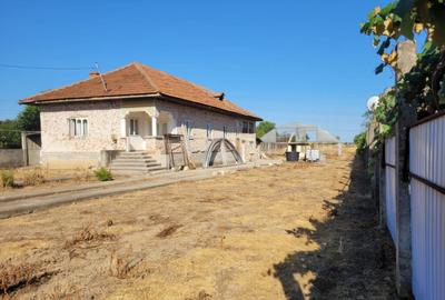 Casa cu teren impresionant in Targu Jiu - 3