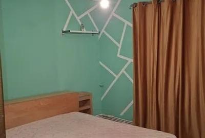 Inchiriere Apartament 2 Camere Centrala Proprie Colentina - 4