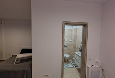 Garsoniera - Biruintei - Curte proprie - 10