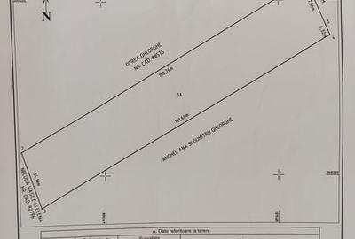 Teren de 6343 mp, în Bradu - 1