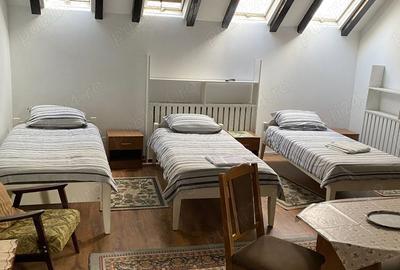 Spațiu comercial, de 20 mp, în Turda - 4