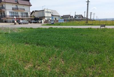 De Vanzare 4000 mp Teren Intravilan  -Sfantu Ilie - 4