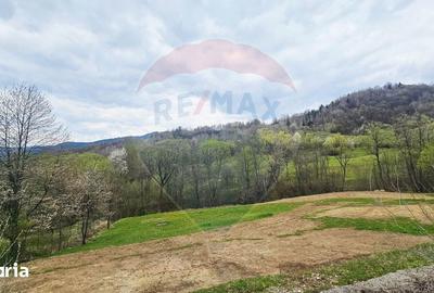 Teren de 2910 mp, în Hangu - 7