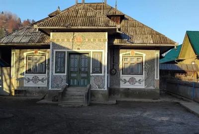 Casă cu 2 camere în Pârâul Pântei - 4