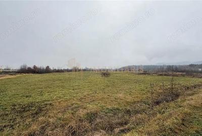 Parcele de teren industrial, Tautii Magheraus - 7