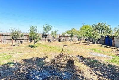 Casa si teren 3567 mp cu piscina, livada si helesteu  Corlatesti - 20