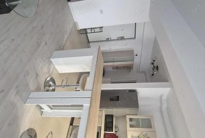 Apartament cu 2 camere decomandat în Parcul Carol - 1