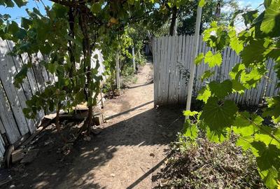 Casă cu 3 camere în Cudalbi - 7