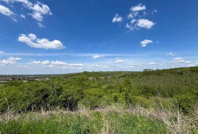 Teren Construcții extravilan de 8200 mp, în Central - 9