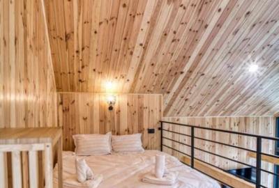 Casă cu 2 camere cu Teren 150 Mp în Furnica - 14