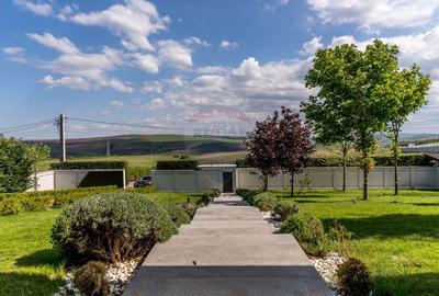 Pret Preferential- Oferta limitata pana la 31 Decembrie - 34