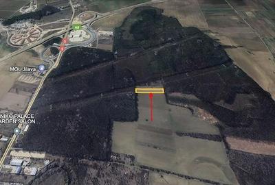 Teren de 4800 mp, în Jilava - 3