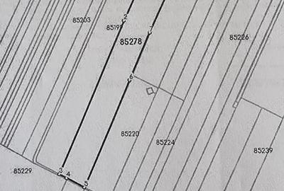 Vand teren curti-constructii, Cateasca, la drumul judetean, 65000 mp - 2
