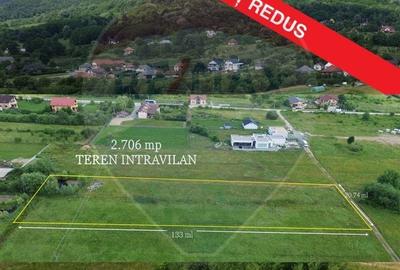 NOU - TEREN DE VANZARE - Cicarlau - 1