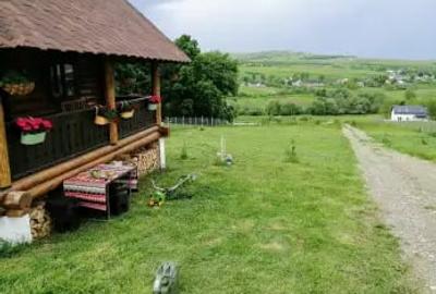 Apartament decomandat în Leucușești - 11