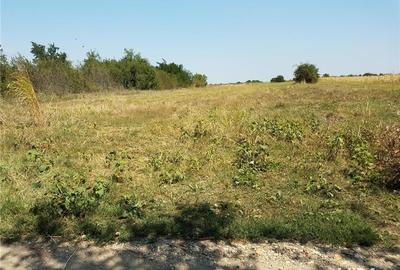 Teren de 1800 mp, în Letca Nouă - 4