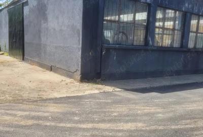 Inchiriem Hala Zona Buzaului in Braila - 6