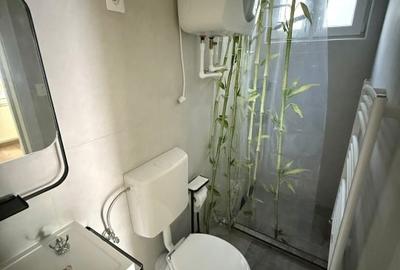 Căsuță cochetă zona Lazu - ieșire la șoseaua Cumpenei - 12