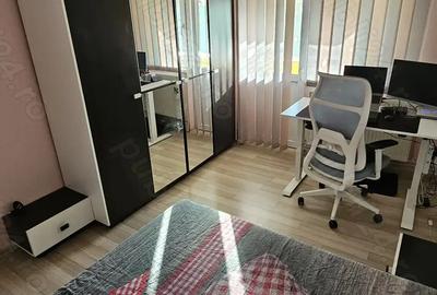 Dambovi?a 3 camere proprietar - 8