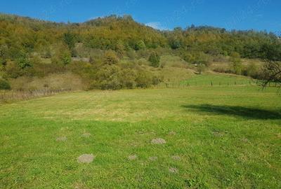 Teren de 4500 mp, în Ciucea - 7
