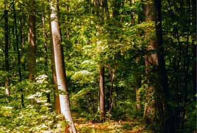 Spațiu comercial, în Crevedia - 4