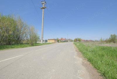 Teren de 937 mp, în Snagov