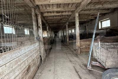 Spațiu comercial, de 7,000 mp, în Șagului - 13