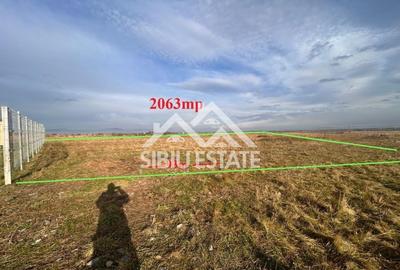 Teren agricol extravilan de 2000 mp, în Sud - 4