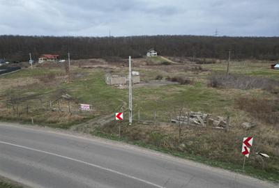Teren Construcții intravilan de 3758 mp, în Mogoșești - 4