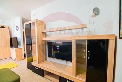 Apartament cu 2 camere de inchiriat in zona Io?ia - 10