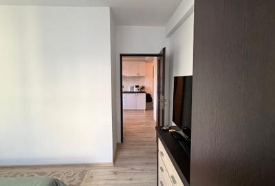 Apartament cu 2 camere semidecomandat, mobilat în Valea Lupului - 14