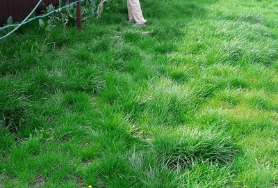 Casă cu Teren 2600 Mp în Colceag - 1