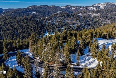 Teren de 15000 mp, în Central - 3