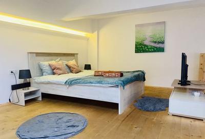 Apartament 1 camera, 40 mp, Ultracentral, parter - 1