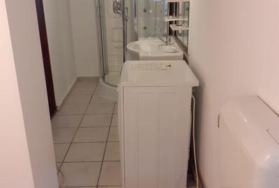 Vanzare casa  individuala - Zona Aviatorilor - Clucerului - 13