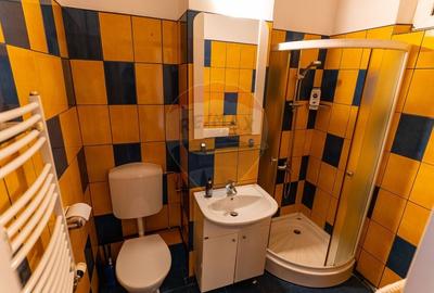 Apartament cu 3 camere de vanzare in zona Balcescu, Deva/ Hunedoara - 15