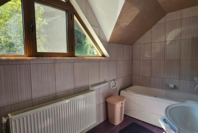 Vila Exclusivista Vetel  pe valea Caoiului - 22