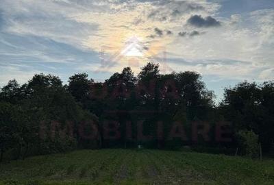 TEREN INTRAVILAN ÎN CARANSEBEȘ\ ZONA PĂLTINIȘ\ COMISION O%