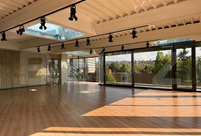 Spatiu modern in cladire unicat - 6