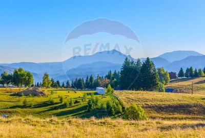 COMISION 0% Teren 19.300 mp/Sirnea/ Oportunitate de investitie - 5