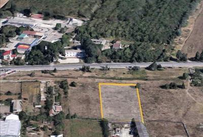 Autostrada A4 - Vaporas teren intravilan 5000 mp deschidere 50 m - 1