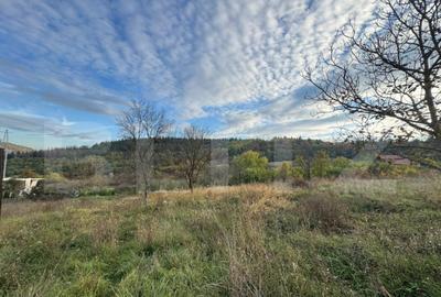Teren intravila, 1466mp in comuna Bejan - 4