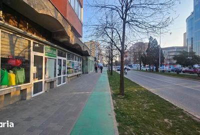 Spațiu comercial, de 145 mp, în Cetate - 4