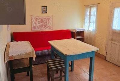 Vand casa la tara - 7