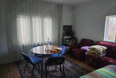 Casă cu 3 camere cu Teren 2500 Mp în Pietroasa - 5