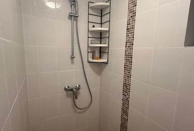 Casă individuală cu 5 camere cu Canalizare în Bozioru - 11