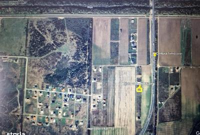 Spațiu comercial, în Ghiroda - 4