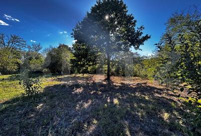 Doua casa de vanzare, teren intravilan 1773 mp, zona Stolojani - 6