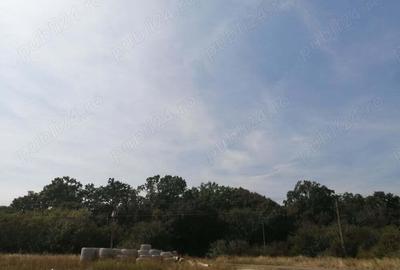 Promovam teren locuin?e ?i func?iuni complementare, SAD la parter ?i doua apartamente, 477 mp - 1