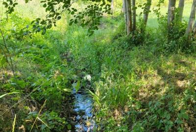 Teren de 1035 mp, în Central - 10